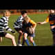 image 4 of 54
